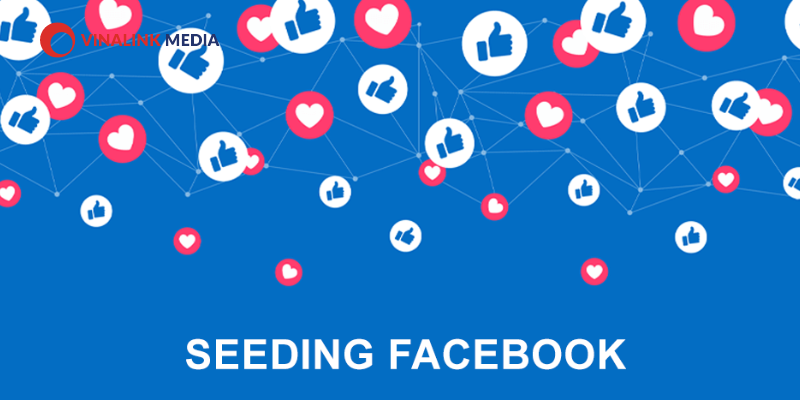 Các loại Seeding Facebook hiện nay